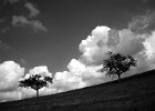 IMG 4694